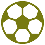 soccer ball icon