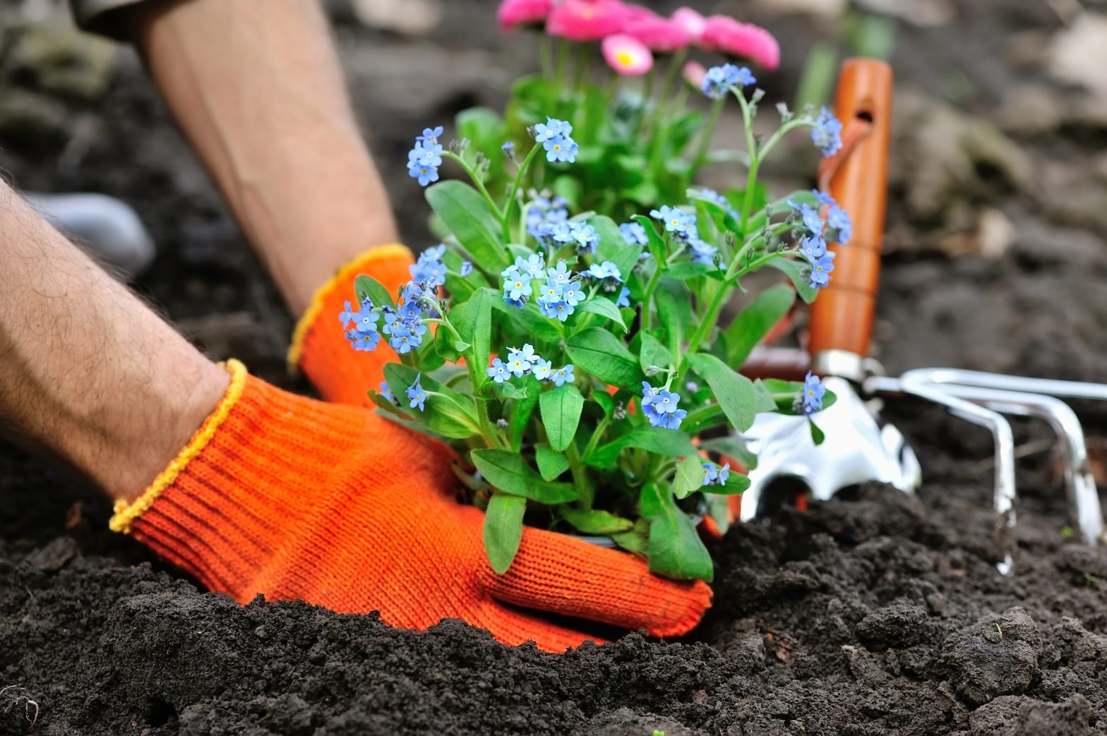 gardening